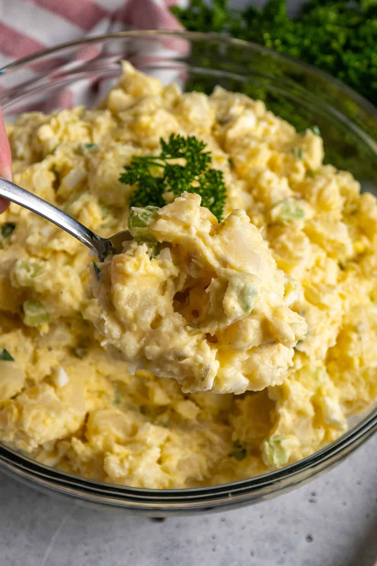Close up of a spoon holding the best potato salad.