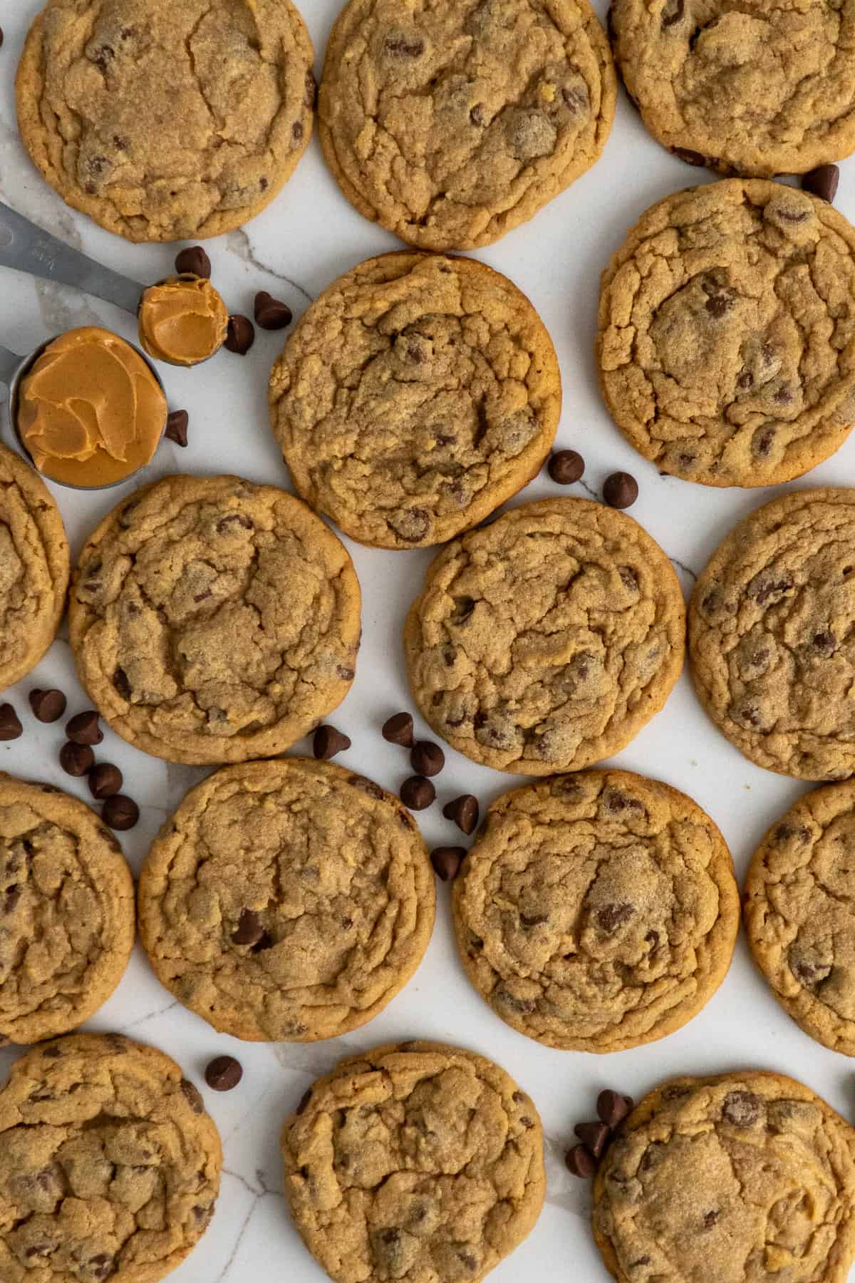 Peanut butter chocolate chip cookies on a marble countertop.