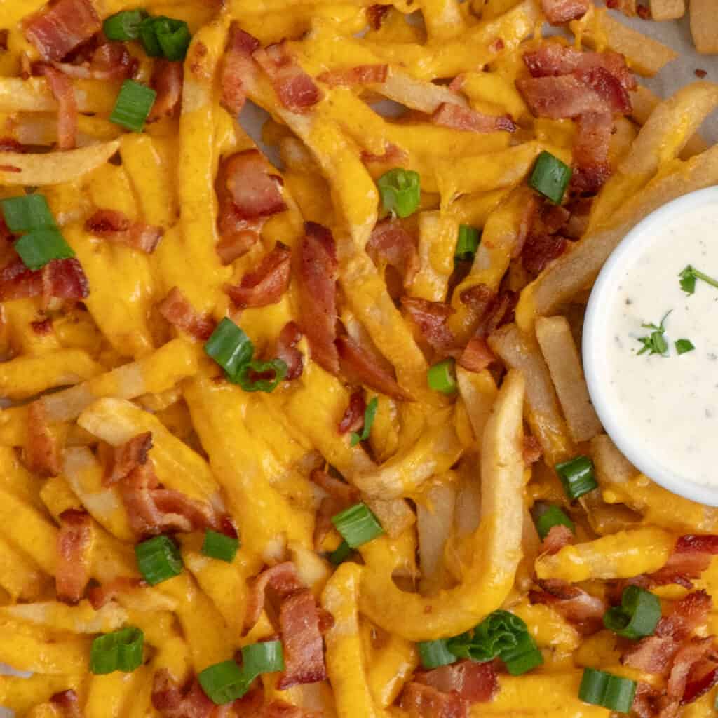 Loaded Fries The Cooking Duo