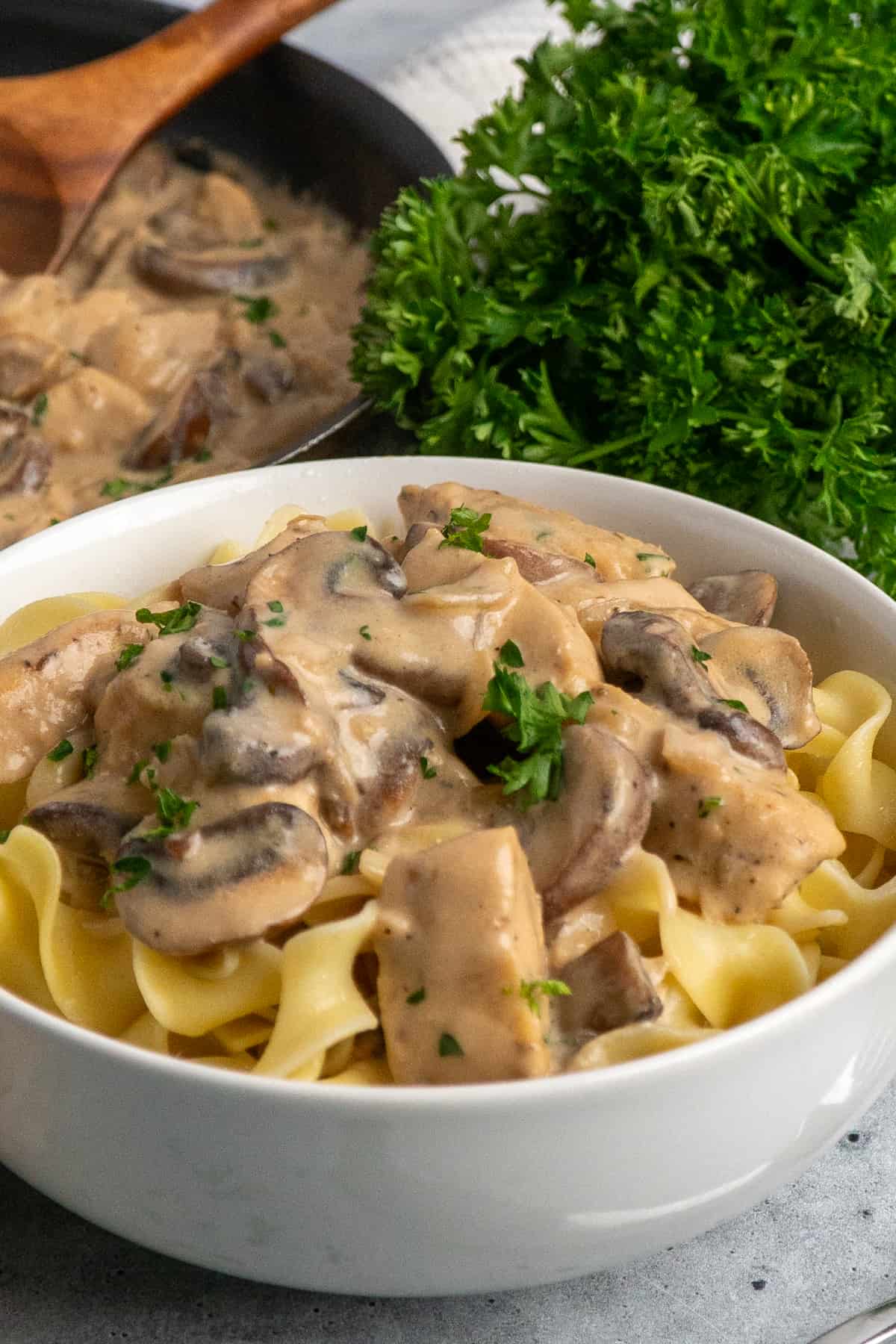 Side view of chicken stroganoff in a white bowl over egg noodles.