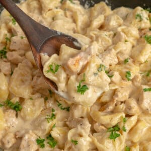 Close-up of a wooden spoon holding chicken tortellini Alfredo.