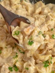 Close-up of a wooden spoon holding chicken tortellini Alfredo.