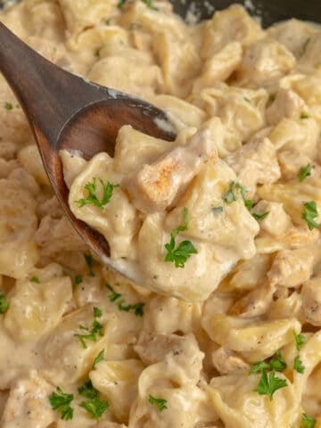 A wooden spoon holding a spoonful of chicken tortellini Alfredo over a skilet with more.