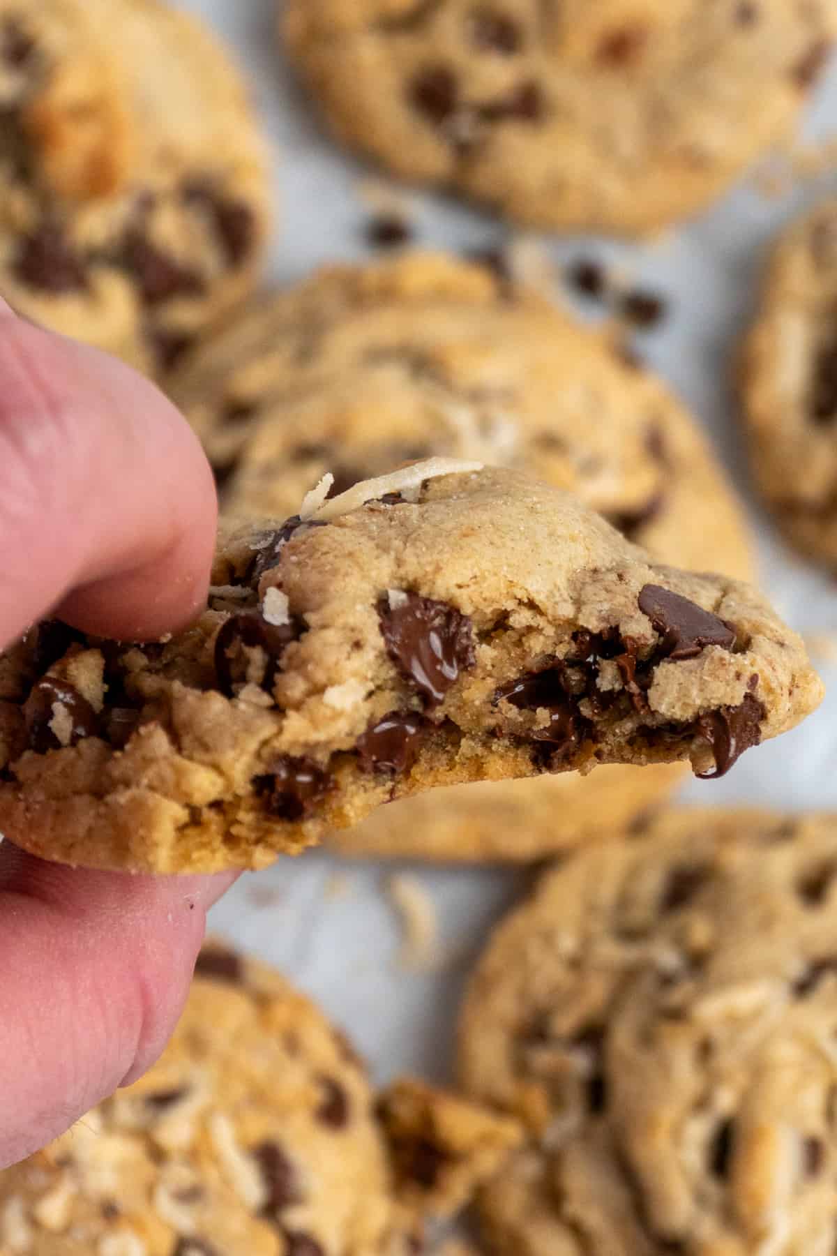 A hand holding a coconut chocolate chip cookie with a bite taken out of it.