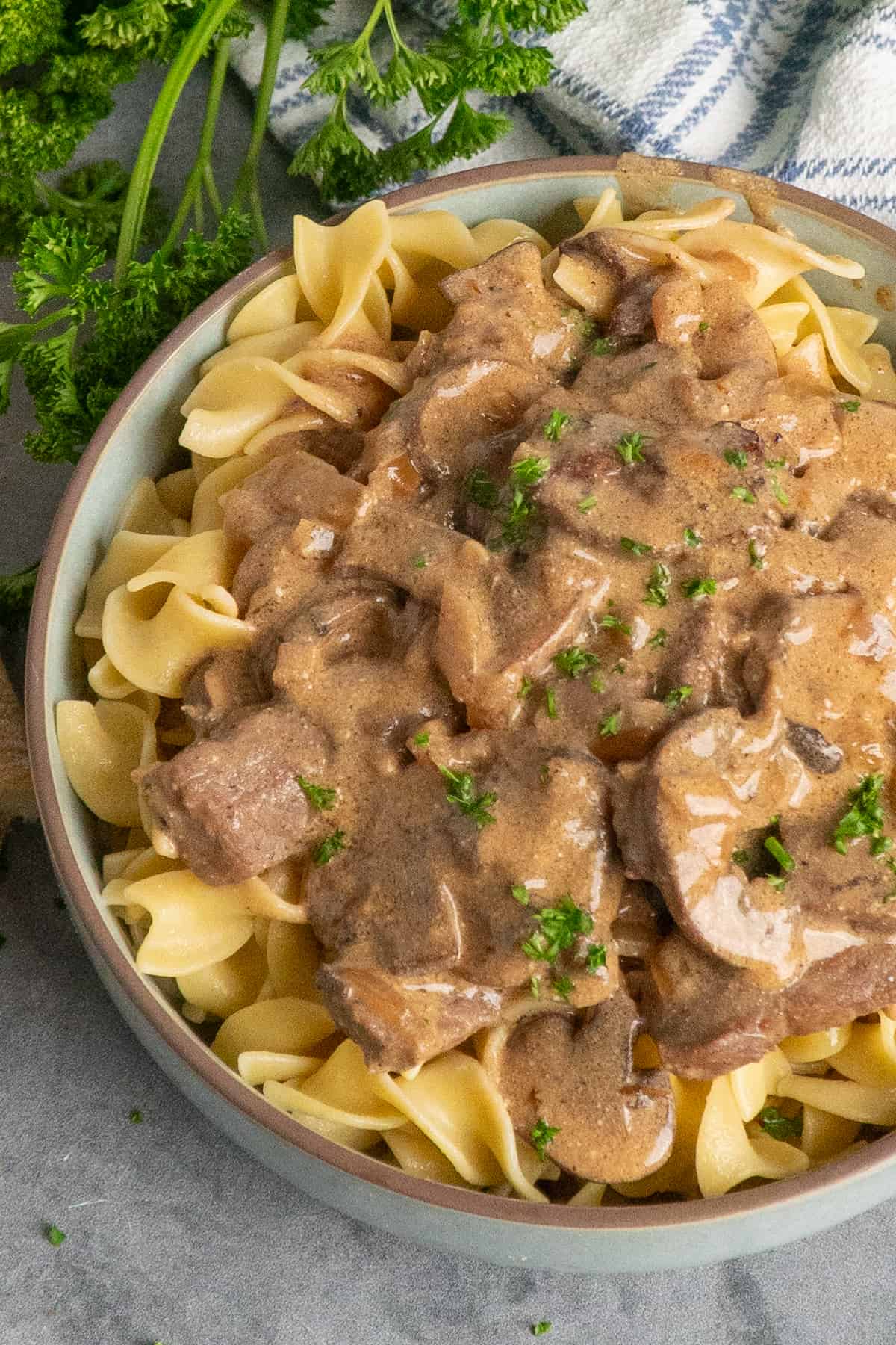 Close-up of beef stroganoff over a bowl of egg noodles.