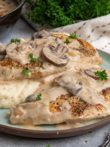 Close up of chicken and mushroom over mashed potatoes on a plate.