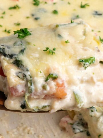 A wooden spatula holding a piece of chicken alfredo lasagna.