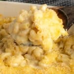 A wooden spoon holding a scoop of white cheddar mac and cheese.
