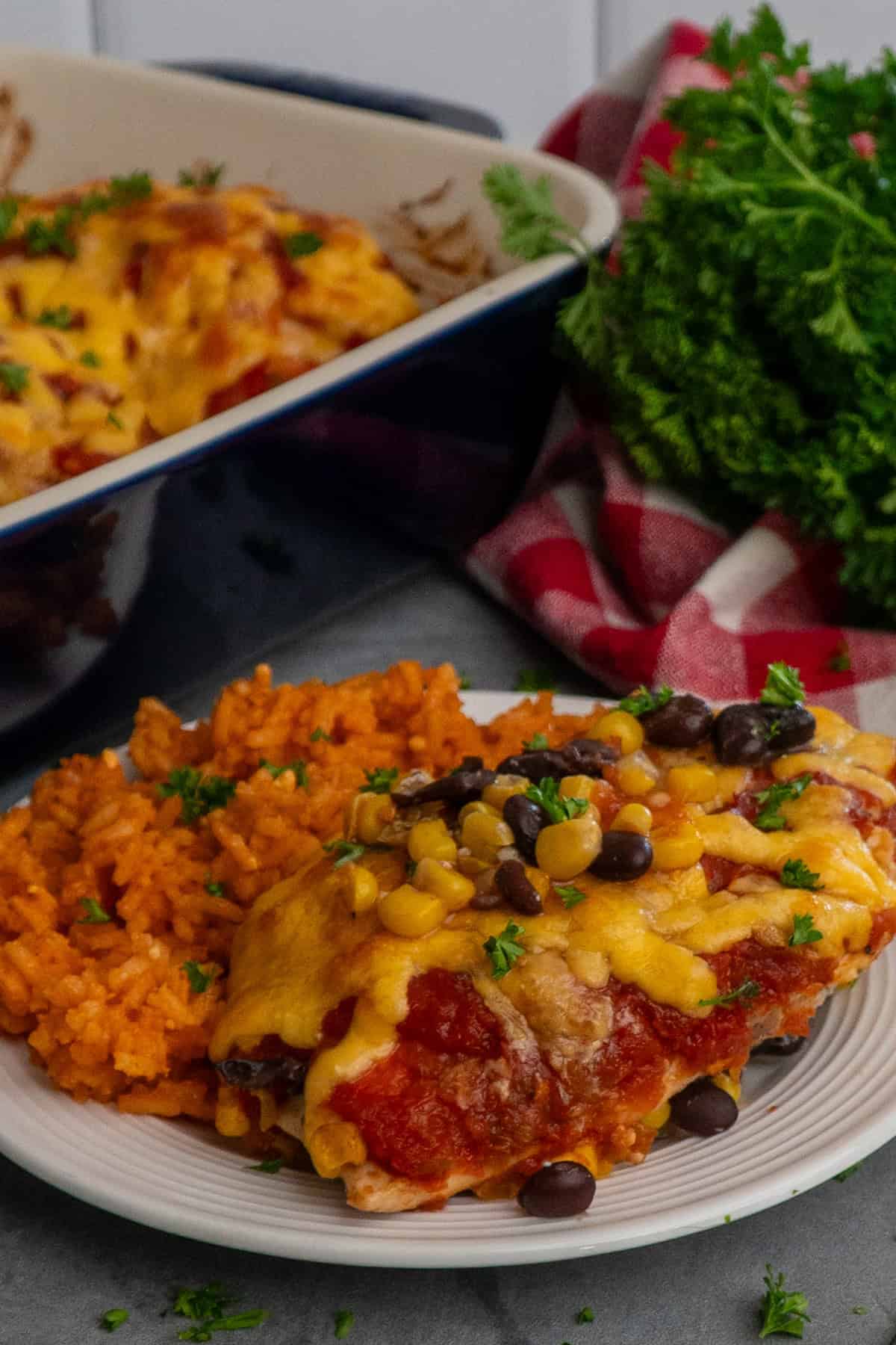 Salsa chicken on a white plate with some Mexican rice.