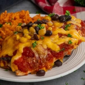 Salsa chicken on a white plate with some Mexican rice.