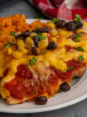 Salsa chicken on a white plate with some Mexican rice.
