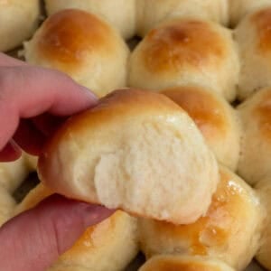 A hand holding a brioche dinner roll.