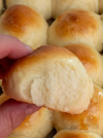 A hand holding a brioche dinner roll.