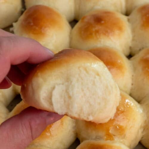 A hand holding a brioche dinner roll.