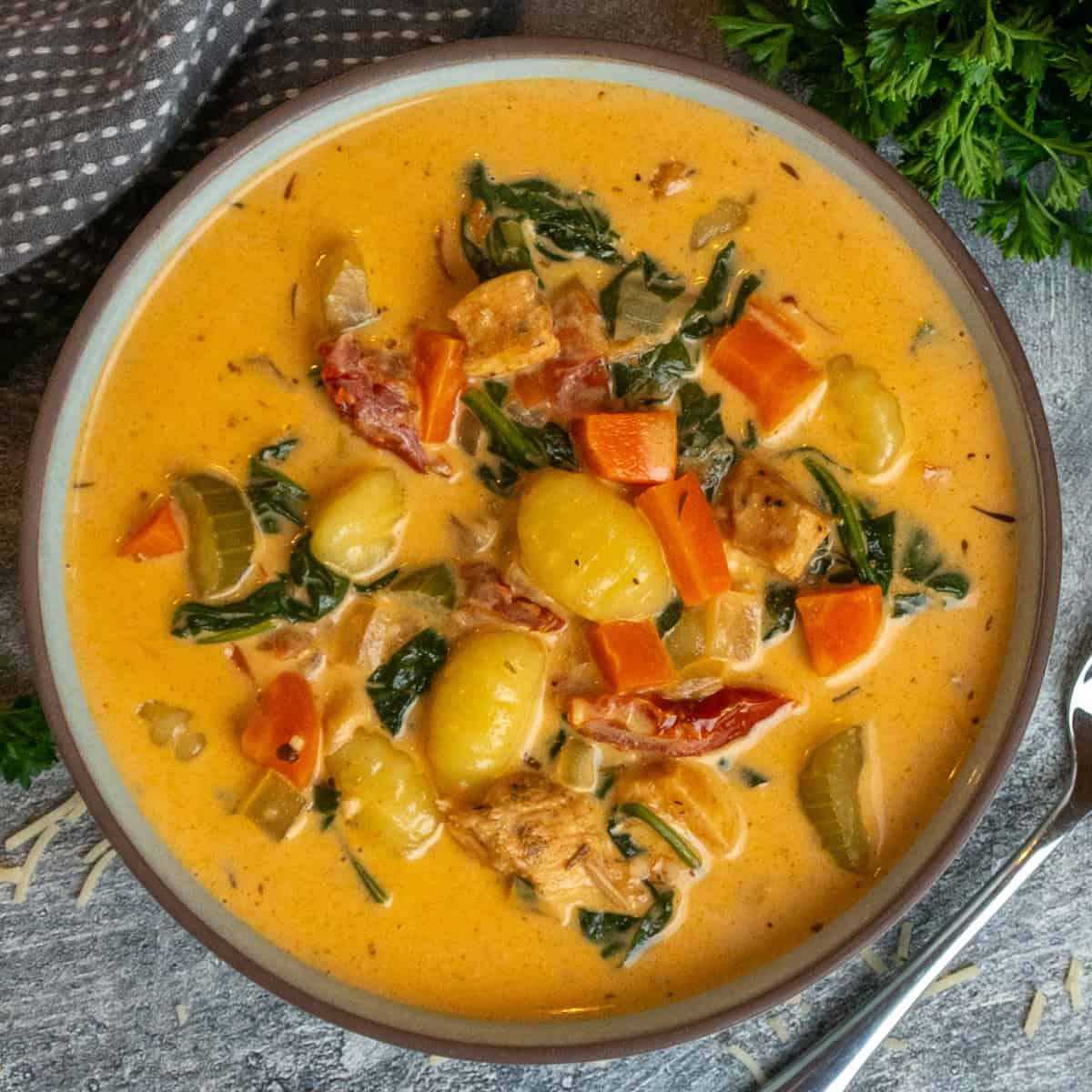 Chicken gnocchi soup in a bowl and ready to eat.
