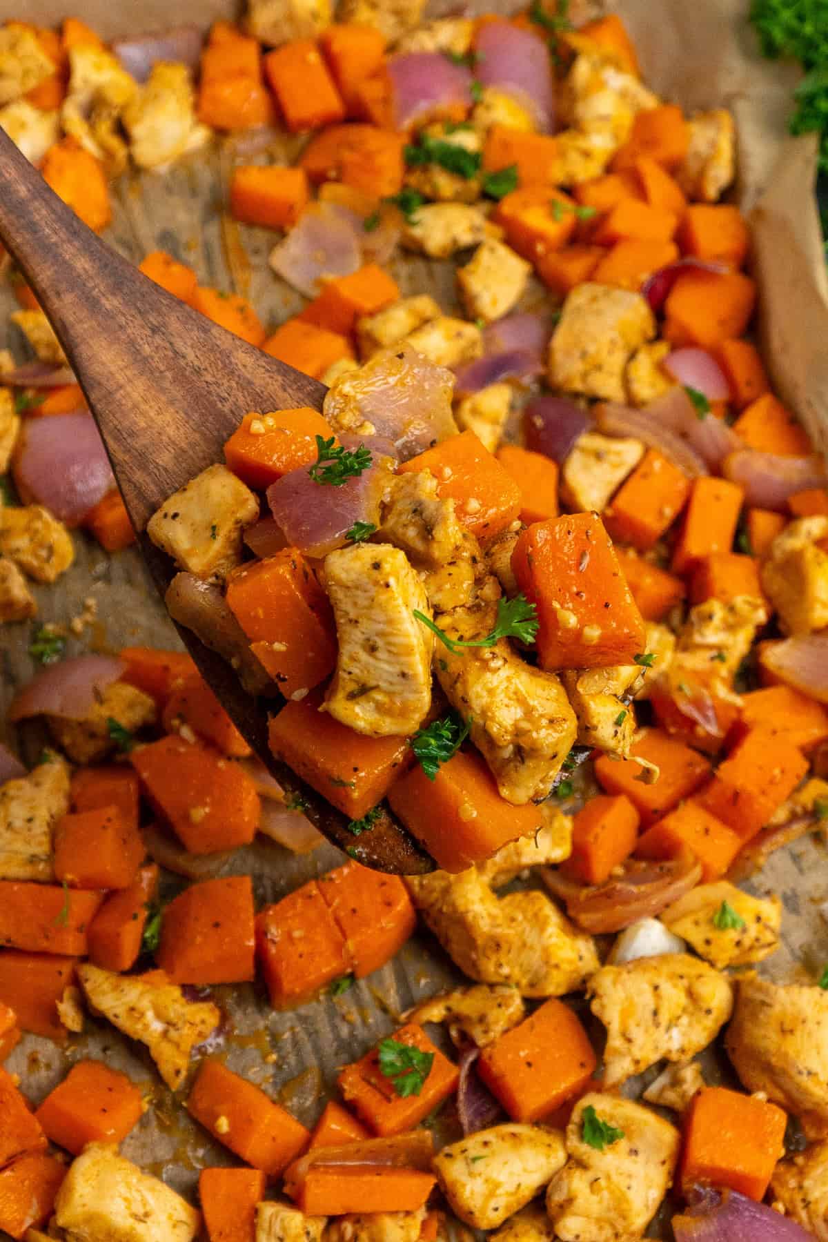 A wooden spatula holding a scoop of chicken and sweet potatoes.