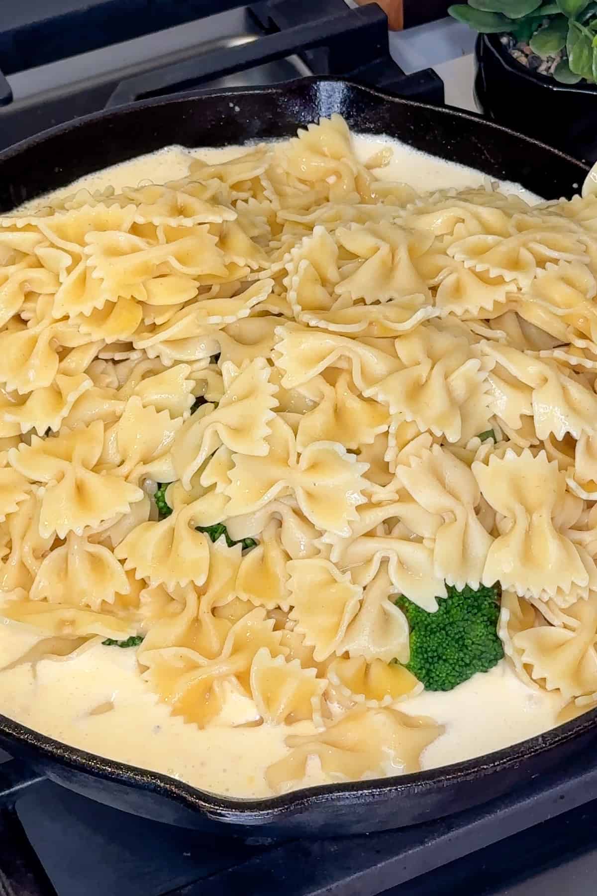Cooked chicken, broccoli, and pasta being added to the cheese sauce.